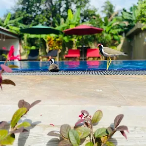  Resort The Kingslayer Sri Lanka